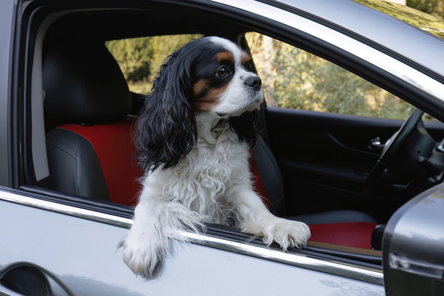 Chevrolet Silverado Dog Carrier Car Seat for Cavalier King Charles Spaniel