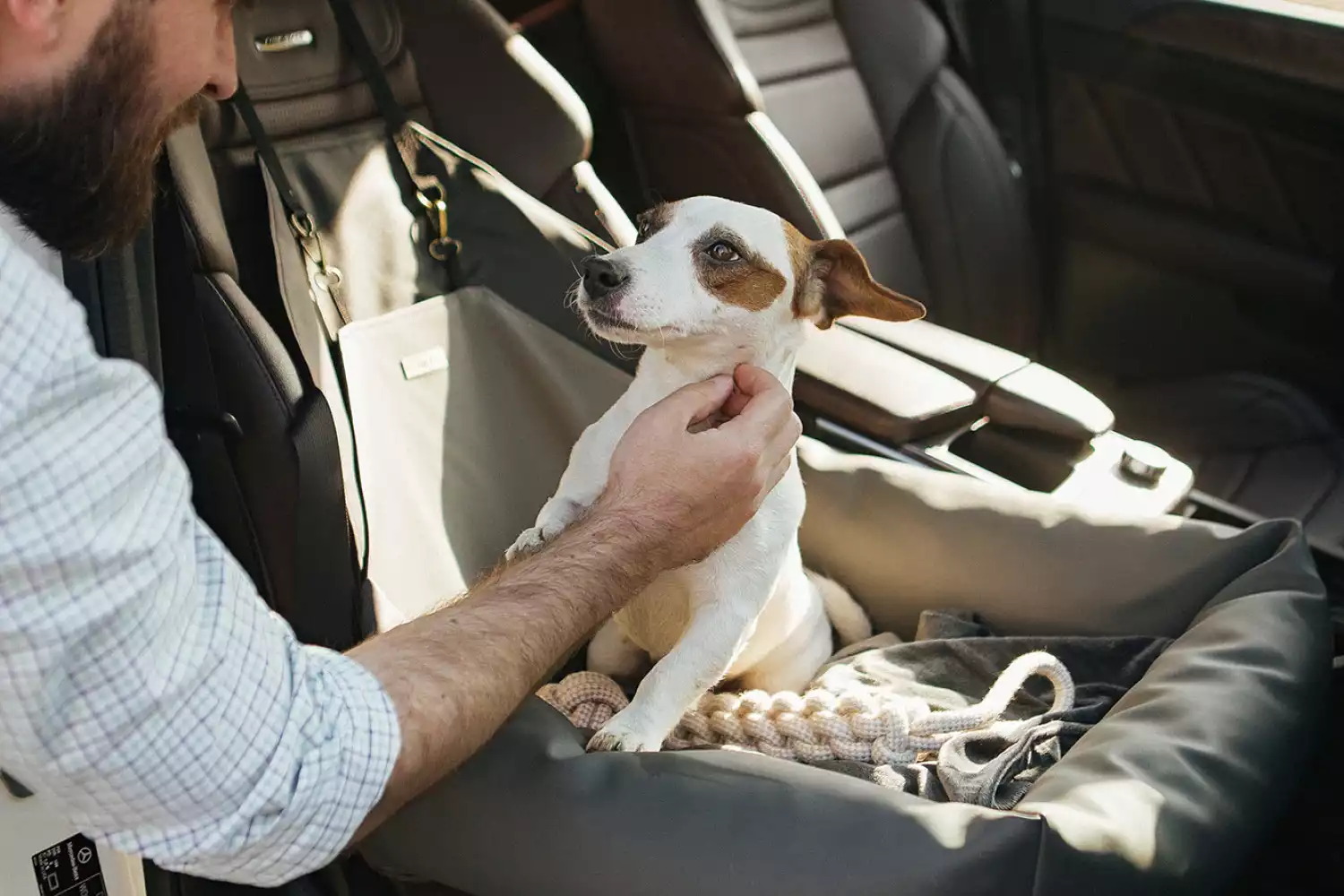 Ford Fusion Dog Car Seat for Miniature Bull Terriers