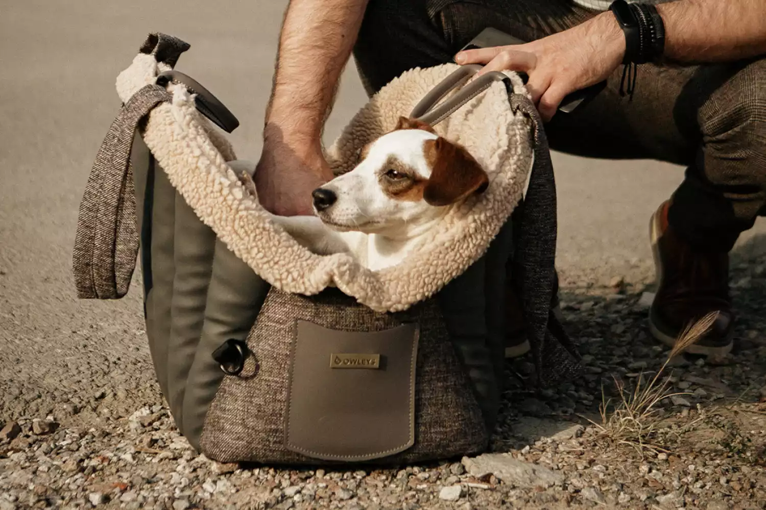 Jeep Wrangler Dog Carrier Car Seat for Kyi-Leo