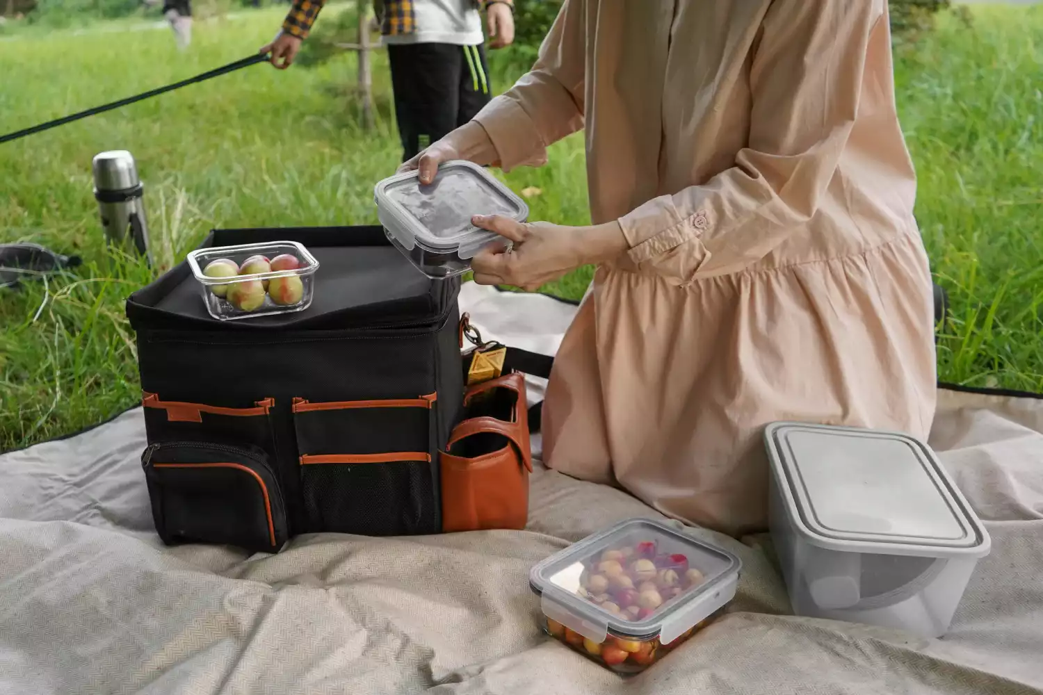 neutral picnic blanket